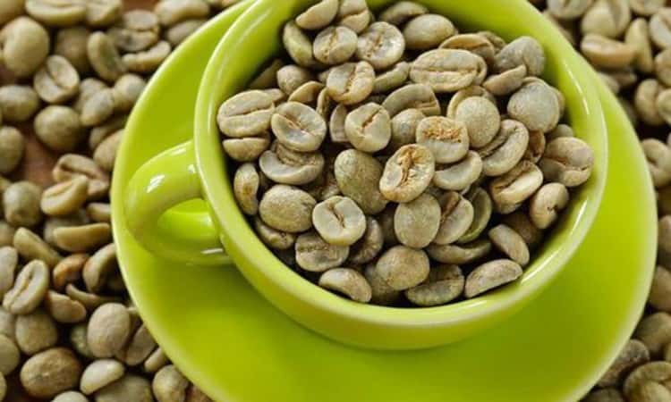 Cà phê xanh là một loại thảo mộc giúp giảm cân