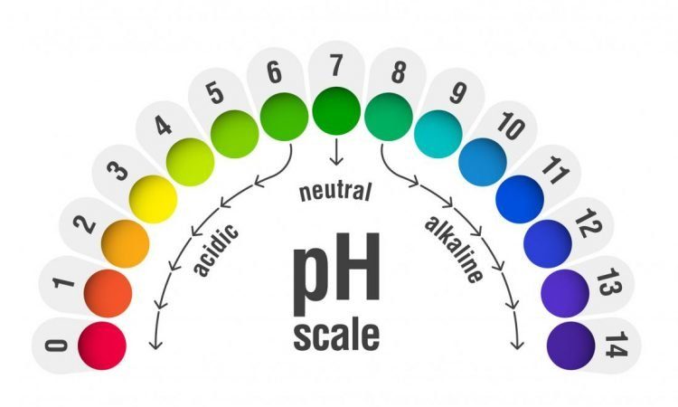 Cân bằng độ pH tự nhiên của da cho làn da khỏe mạnh hơn