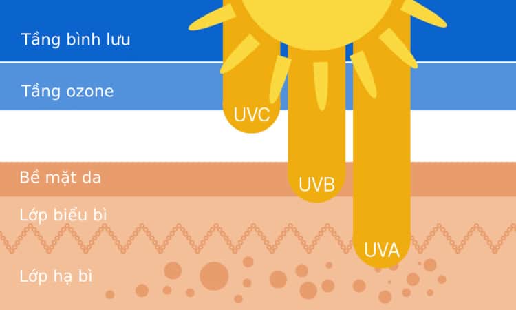 Tại sao da nhạy cảm cần được bảo vệ bằng kem chống nắng?