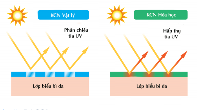 Phân biệt kem chống nắng vật lý và hóa học phù hợp để bảo vệ da