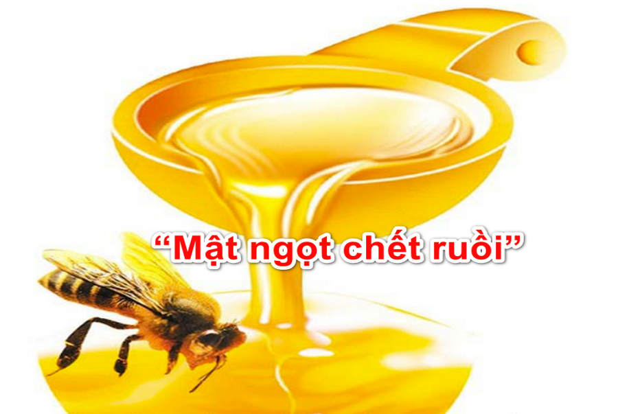 Thành ngữ “Mật ngọt chết ruồi” – Gõ Tiếng Việt