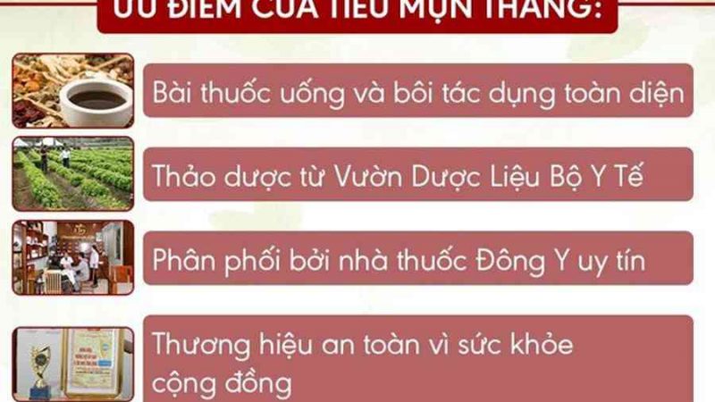 Bệnh tổ đỉa là gì? Nguyên nhân, triệu chứng và cách chữa không tái phát