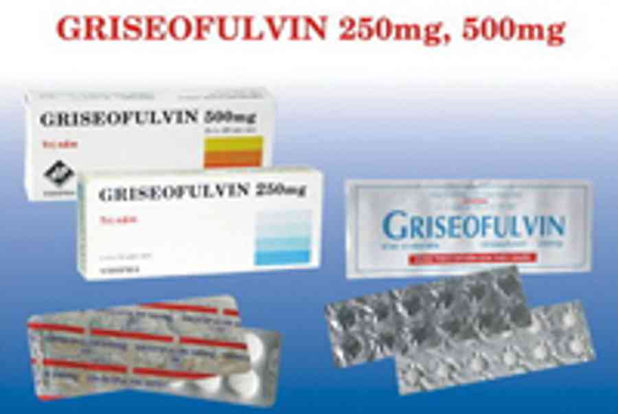 Griseofulvin 250mg – Thuốc biệt dược, công dụng , cách dùng – SDK : VNB-2307-04
