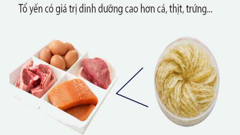 Tổ yến sào nguyên chất Nha Trang Khánh Hòa – Vua Yến