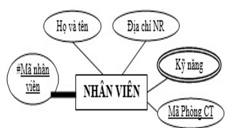 Thực thể là gì? Mô hình hóa thực thể – https://trangdahieuqua.com