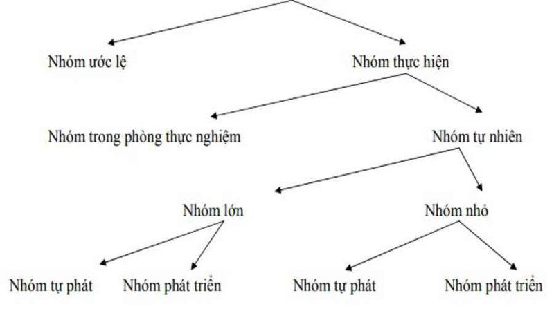 Nhóm, Nhóm xã hội là gì? Phân loại nhóm – https://trangdahieuqua.com