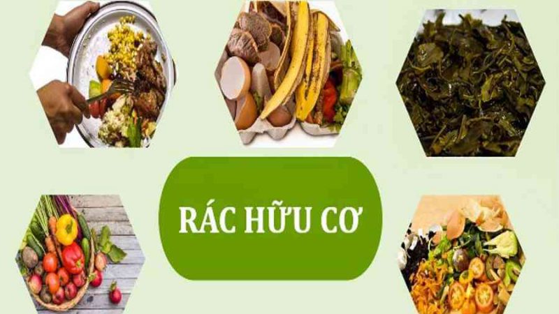 Cách phân biệt rác hữu cơ và rác vô cơ