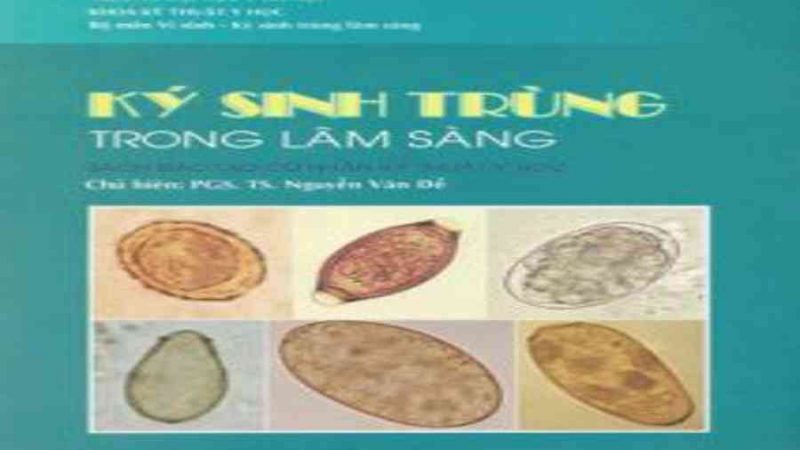 5 sách hay về ký sinh trùng được biên soạn kỹ lưỡng, chính xác – https://trangdahieuqua.com