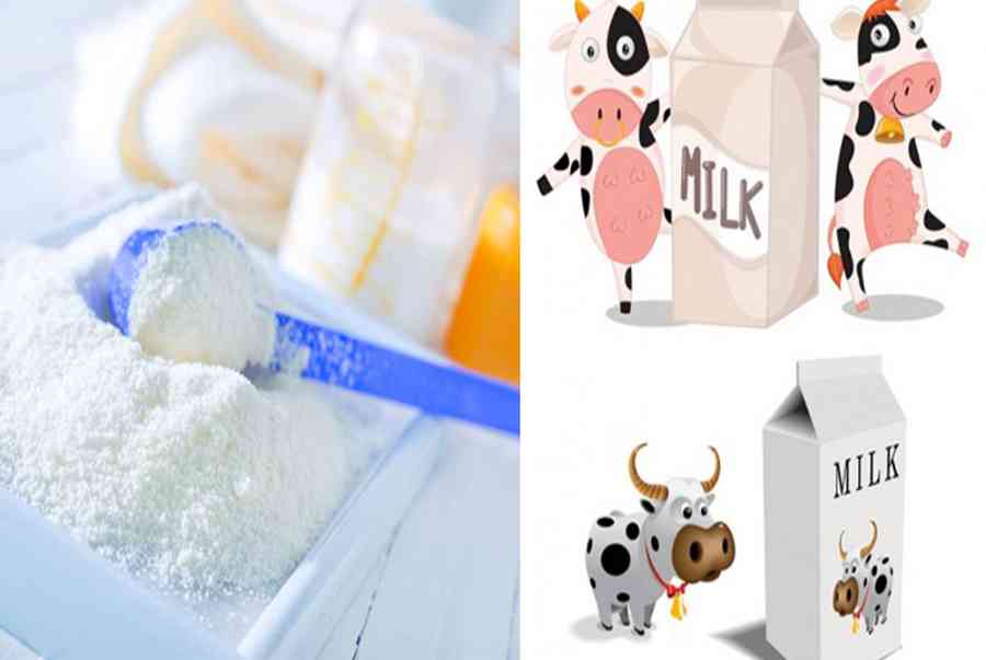 Sữa bột là gì? Có mấy loại và cách sử dụng sữa cho em bé