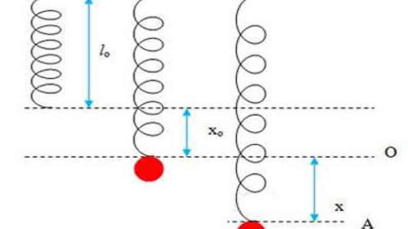 Thế năng là gì, công thức tính thế năng trong vật lý chính xác – Trường THPT Thành Phố Sóc Trăng