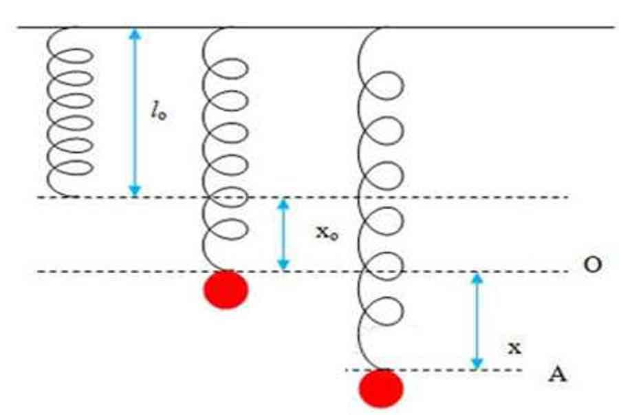 Thế năng là gì, công thức tính thế năng trong vật lý chính xác – Trường THPT Thành Phố Sóc Trăng