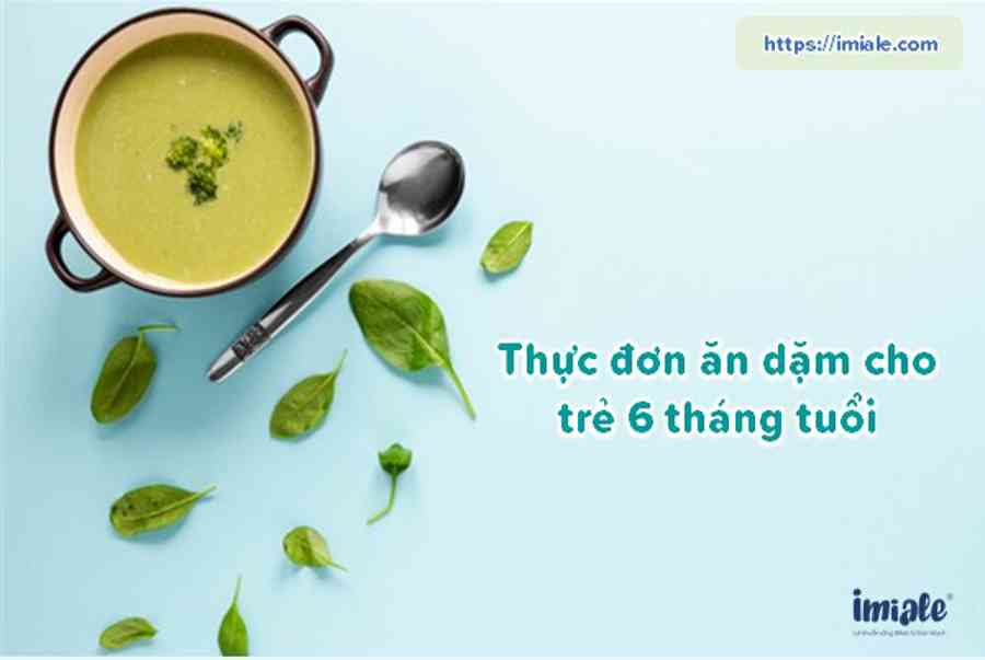 Thực đơn ăn dặm cho bé 6 tháng tuổi hấp dẫn, dễ hấp thu