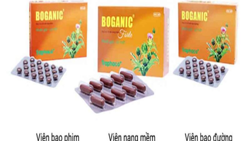 Thuốc Boganic: Công dụng, cách dùng và những lưu ý quan trọng