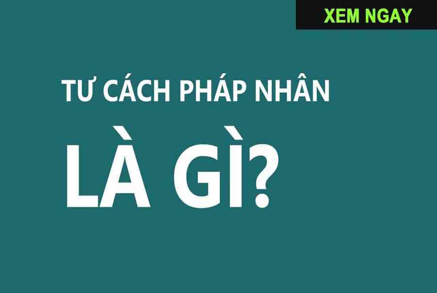 Pháp Nhân Là Gì? Tư Cách Pháp Nhân Là Gì?