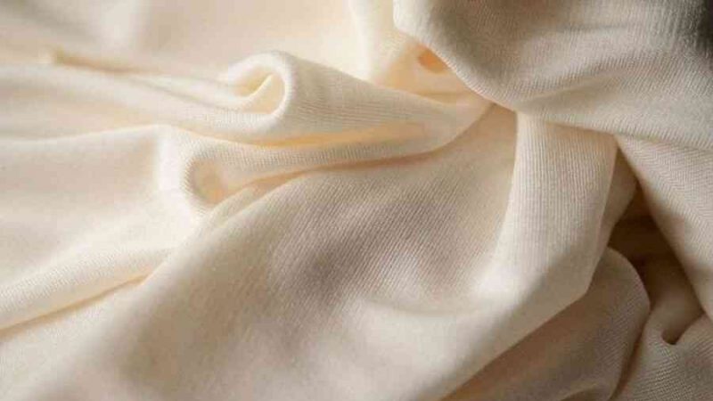 Chất Liệu Vải Cotton Là Gì? Ưu Điểm Và Những Đặc Tính Tuyệt Vời Của Loại Vải Này!