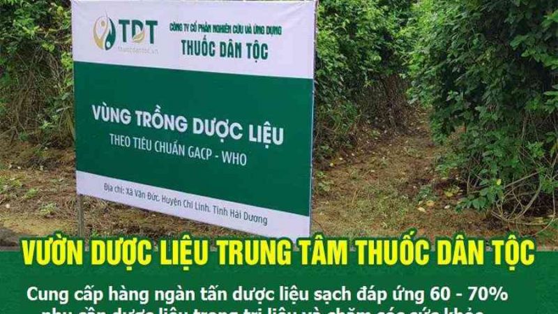 10 thuốc trị hắc lào tốt nhất hiện nay – Hiệu quả tận gốc