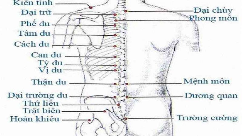 108 huyệt đạo trên cơ thể – Huyệt nguy hiểm, huyệt chữa bệnh