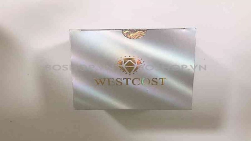 Mua Kem Dưỡng Trắng Da Body Westcost Skin Whitening Body Cream SPF40 PA+++ 200g giá 190,000 trên https://trangdahieuqua.com