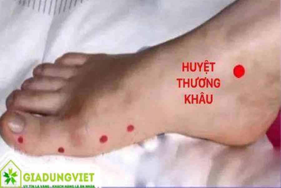Sơ đồ huyệt đạo bàn chân và cách massage bấm huyệt – Gia Dụng Việt chuyên đồ gia dụng hàng đầu Việt Nam