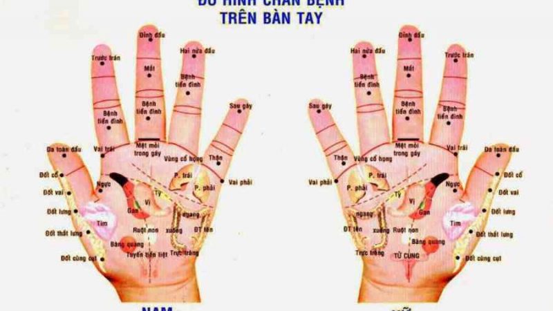 Chữa bách bệnh chỉ bằng cách bấm huyệt bàn tay