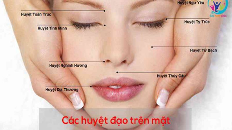 Sơ đồ các huyệt đạo trên mặt và cách bấm huyệt chữa bệnh