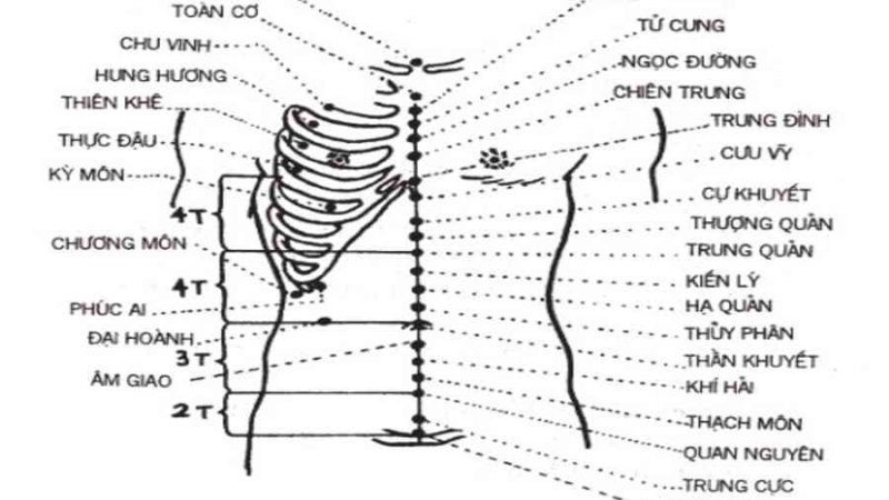 Huyệt Cự Khuyết là gì? Vị trí, tác dụng, cách bấm huyệt chính xác